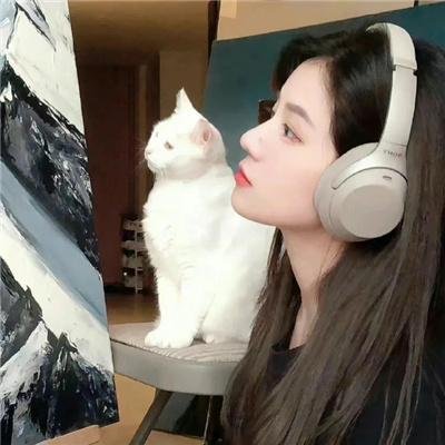 焦点新闻
